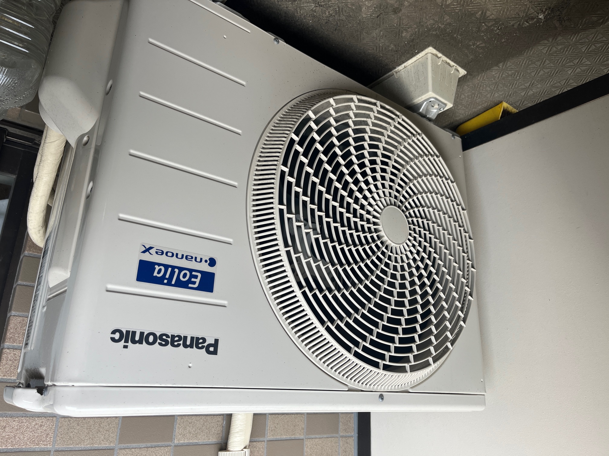 キレイな空気を実感
